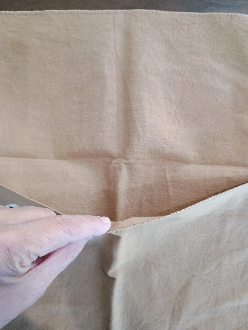 Louis Vuitton Beige Dust Bag with LV Logo